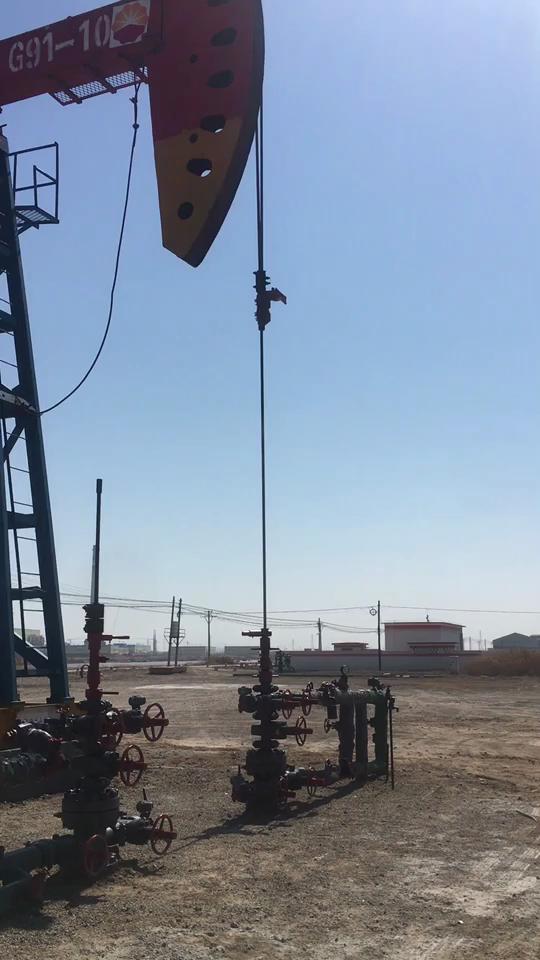 1569030690115269.jpg 圖片(piàn)4.jpg